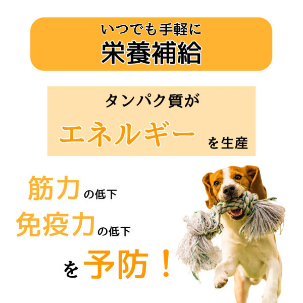 わんわんカロリー ライフ シニア犬用 7歳から コーンスープ風味 275ml