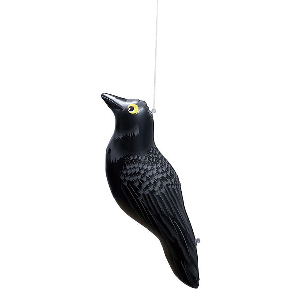 Amazon | 非常にリアルな黒いカラス人工鳥の剥製術ユニークな家の装飾 | ガーデンオーナメント・置物