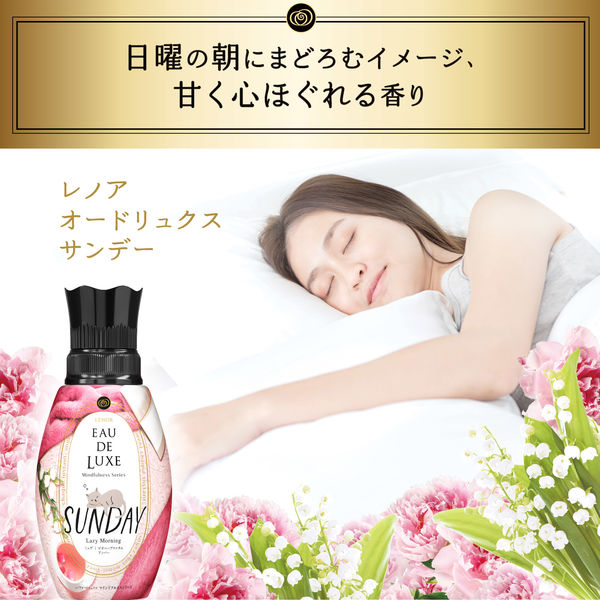 レノアオードリュクス 柔軟剤 レノア 600ml 6個セット P＆G 洗濯