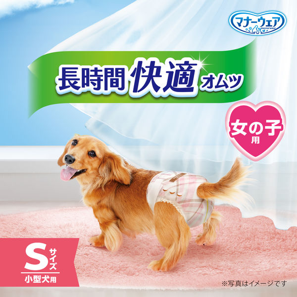 マナーウェア 長時間快適オムツ 女の子用 小型犬 S 32枚入 1袋