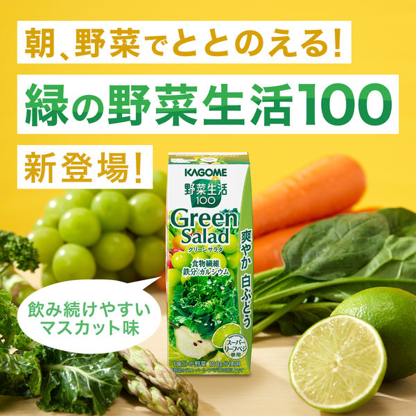 カゴメ 野菜生活100 グリーンサラダ 200ml 1セット（48本