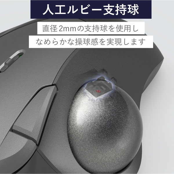 トラックボールマウス用交換パーツ 人工ルビー 3個入 グレー M
