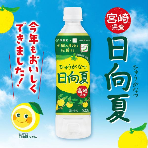 伊藤園 ニッポンエール 宮崎県産日向夏 500g 1セット（48本