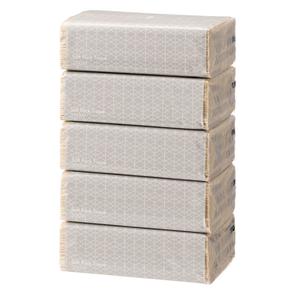 ティッシュペーパー ソフトパック 未晒し 1ケース（200組×5箱入）×16