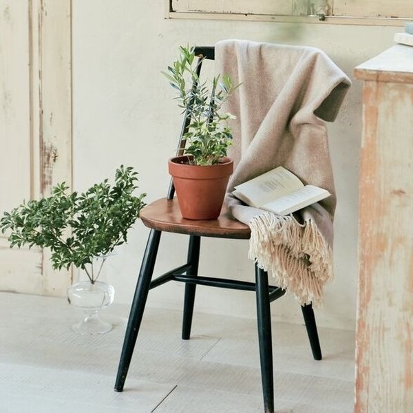 花のギフト社 オリーブ陶器寄せ植え 12190492 1個（直送品） - アスクル