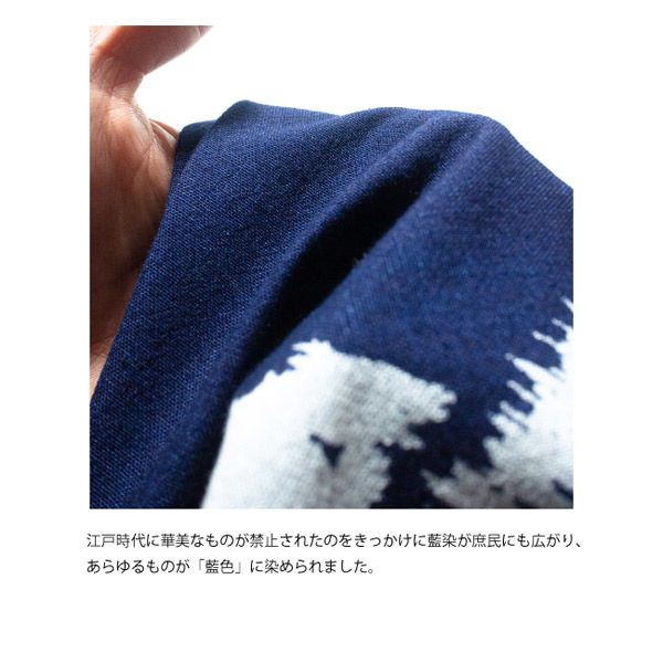 大特価!のれん　本藍染め　白蕪　逸品 d2xVVgKhZW3Ipye1p8htLxBLDT5cDo