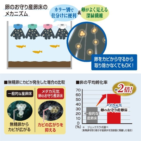 メダカ元気 卵のお守り産卵床 4色セット 1個 ジェックス - アスクル