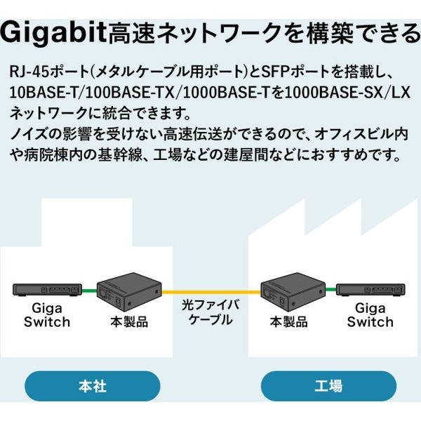 サンワサプライ 光メディアコンバータ LAN-NGC200 1個（直送品