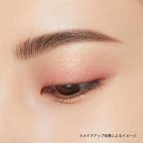 ettusais（エテュセ） アイエディション （カラーパレット） 14