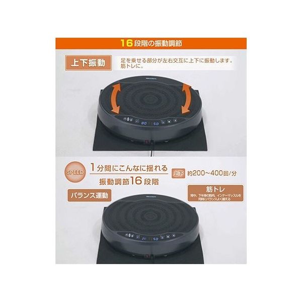 ALINCO 2D上下振動フィットネスマシン バランスウェーブ カリーノused