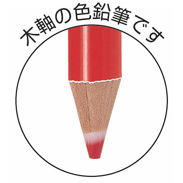 フリクションいろえんぴつ 赤 10本 色鉛筆 パイロット - アスクル