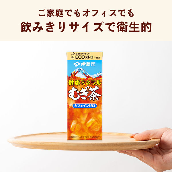 伊藤園 健康ミネラルむぎ茶（紙パック）250ml 1箱（24本入