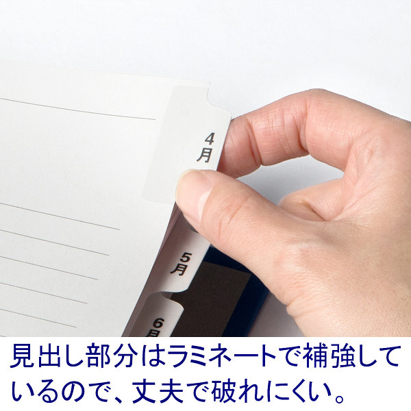 ファイルインデックス 文字入り「4月～3月」ラミネートタブ A4タテ 2穴 マルマン オリジナル