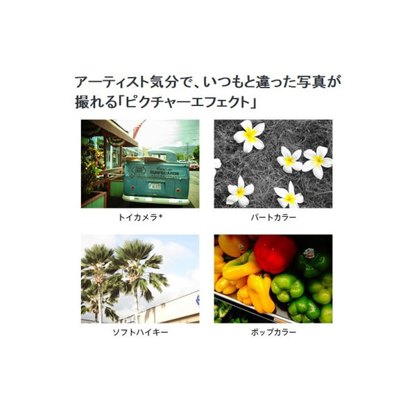 ソニー SONY デジカメ DSC-W830 シルバー サイバーショット 2010 ソニー SONY デジカメ DSC-W830 シルバー サイバーショット 2010