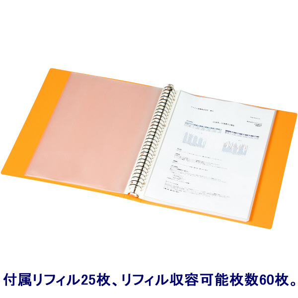 クリヤーブック 差し替え式 30穴 A4タテ 25ポケット 背幅35mm 12冊