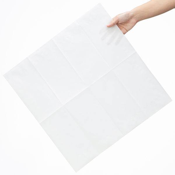 柔らかな質感の 遠藤商事 45×45cm(2000枚入) ナプキン ナプキン 1