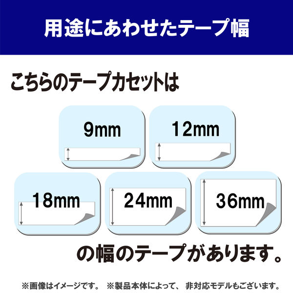 ピータッチ テープ スタンダード 幅12mm 青ラベル(黒文字) TZe-531 1個