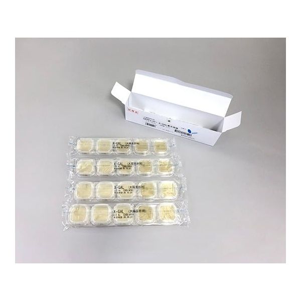 早割 旅行 極東製薬工業 (XーGAL寒天)1ケース DDチェッカー 細菌検出用培地 実験用器具・消耗品