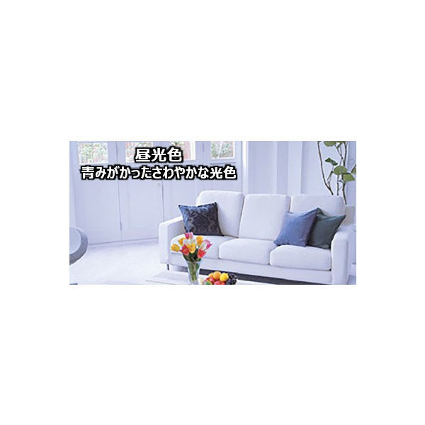 Panasonic fl40ss exd37 10K 10本入蛍光灯昼光色