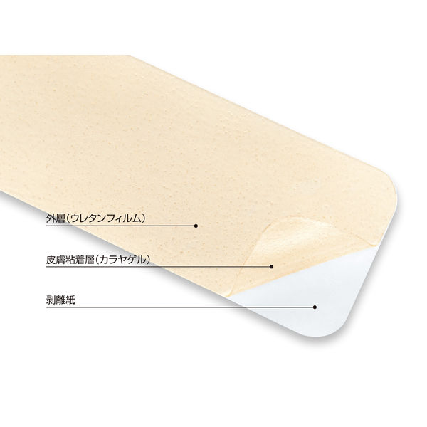 Amazon | アルケア カラヤヘッシブ・クリアータイプ C-2号 50