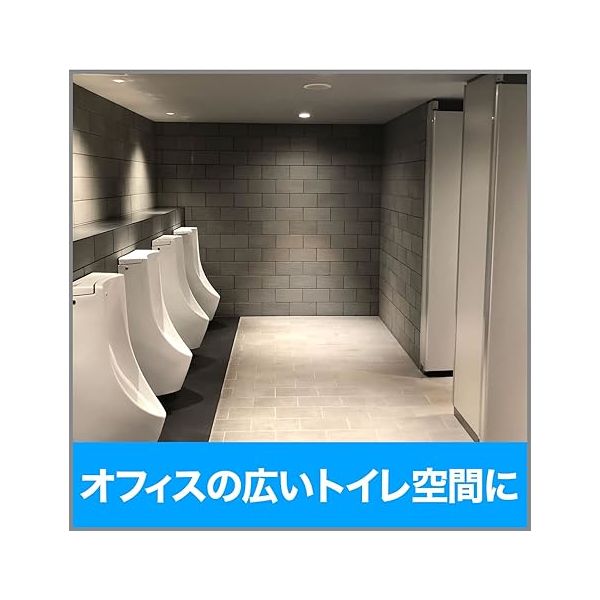 エステー 消臭力 業務用 トイレ用消臭芳香剤 大型トイレ用 クラッシュ