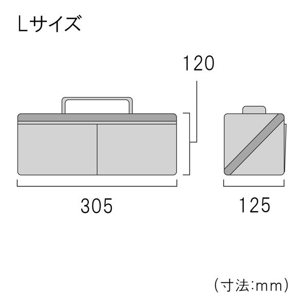 ヒッポケース Lサイズ アイスグレー FTC2-LIG フジ矢（直送品） - アスクル