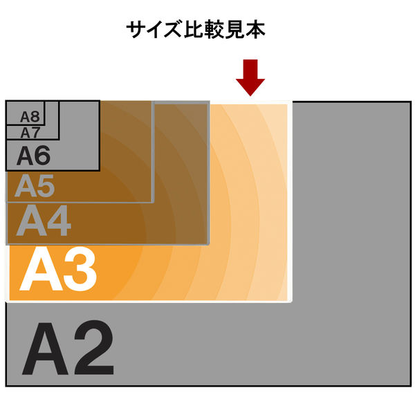 アスクル カードケース ソフトタイプ A3 オリジナル - アスクル