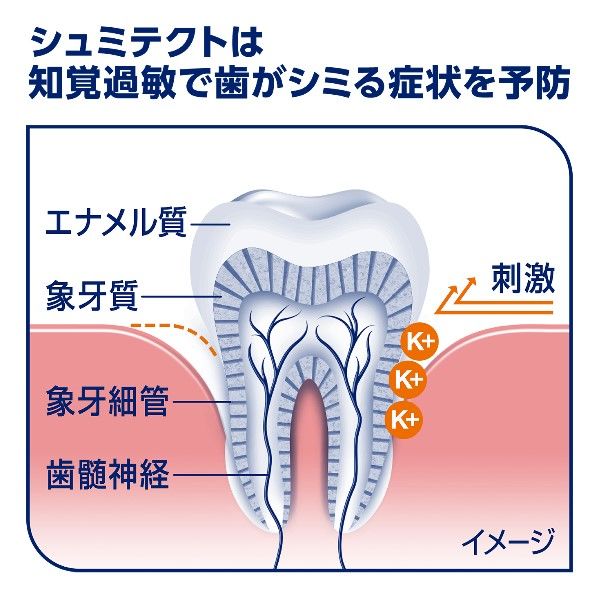 薬用シュミテクト 歯周病ケア 90g グラクソ・スミスクライン・CHJ シミ