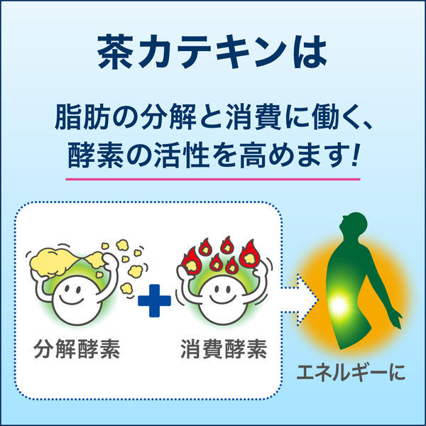 トクホ・特保】花王 ヘルシアスパークリング 500ml 1箱(24本入 トクホ・特保】花王 ヘルシアスパークリング 500ml 1箱(24本入