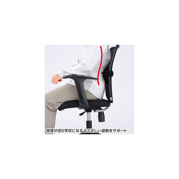 サンワサプライ チェア用ランバーサポート SNC-LUMBAR （直送品