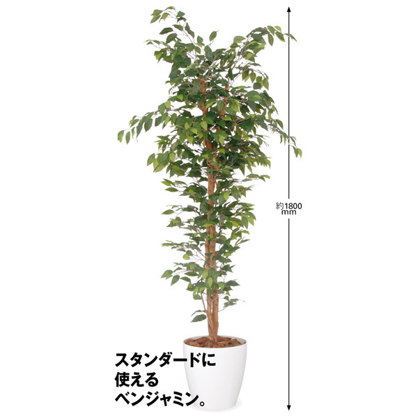 アイコム 人工観葉植物 人工樹木 フィカスベンジャミン 1.8m 1鉢 鉢