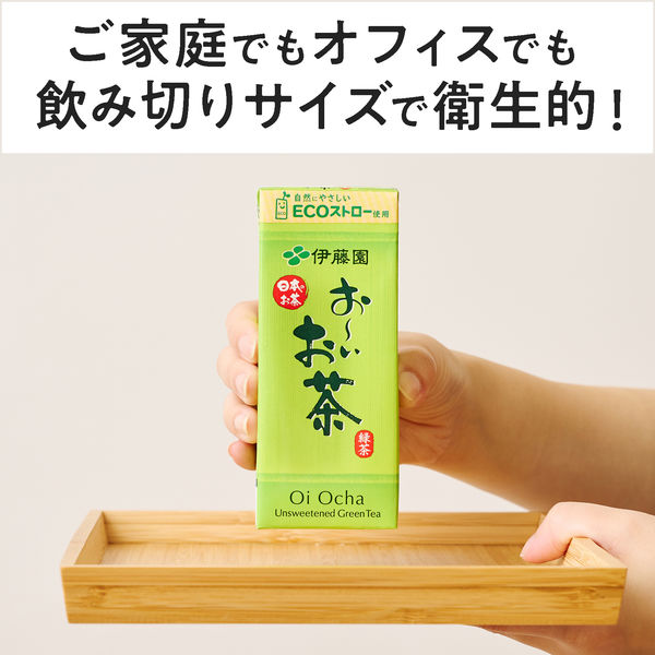 伊藤園 エコパック おーいお茶 緑茶（紙パック）250ml 1箱（24本入