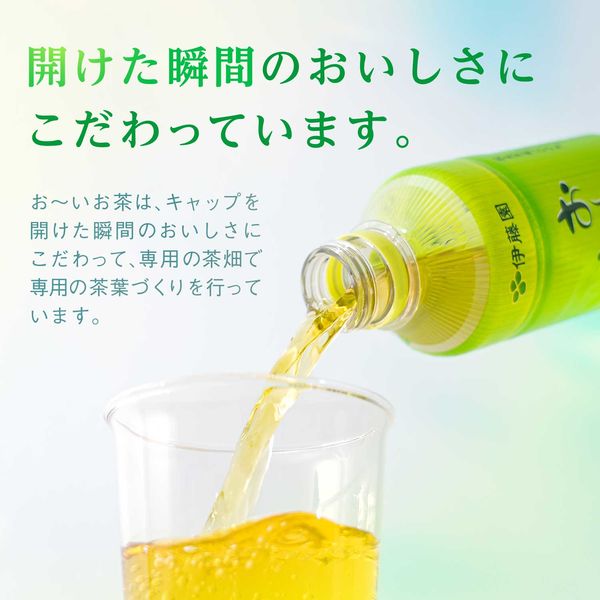 伊藤園 おーいお茶 緑茶 80g 10袋 賞味期限 2026年2月 伊藤園 おーいお茶 緑茶 2L×6個 : くすりのレデイハートショップ