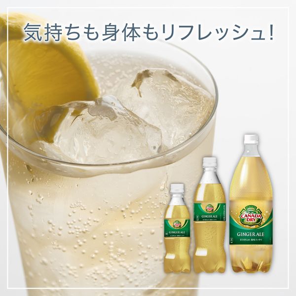 コカ・コーラ ジンジャーエール カナダドライ 500ml 1箱（24本入