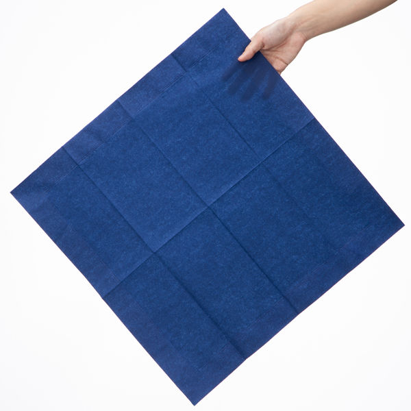 溝端紙工印刷 カラーナプキン 8つ折り 2PLY ネイビー 1袋(50枚 溝端紙工印刷 カラーナプキン 8つ折り 2PLY ネイビー 1袋(50枚