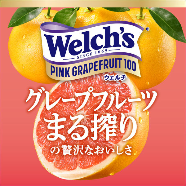 WeIch's ウェルチ 果汁100 フルーツジュース 24本 2箱 48本 - ソフト