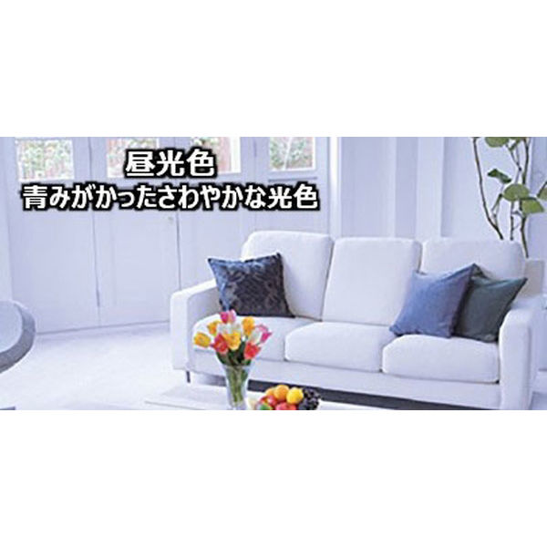 パナソニック コンパクト形蛍光ランプ/FML 18W形 昼白色 パナソニック コンパクト形蛍光ランプ/FML 18W形 昼白色