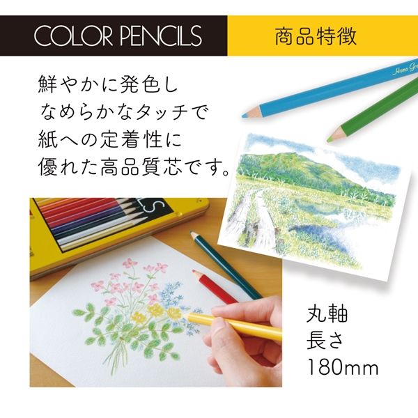 【新品】（まとめ）トンボ鉛筆 色鉛筆 単色 12本入 1500-07 緑 【×5セット】