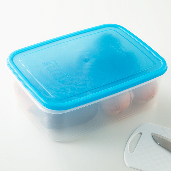 岩崎工業 タフキーパー L 1セット（5個） 食洗機対応保存容器 B