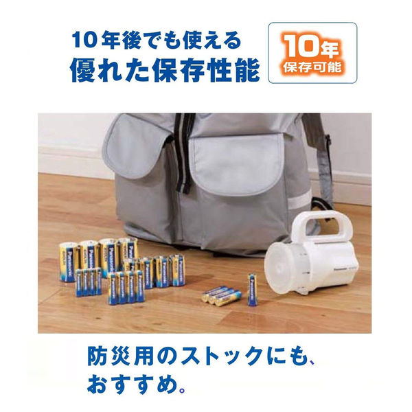 パナソニック アルカリ乾電池 エボルタ 単3形 LR6EJN/100S 1箱（100本 