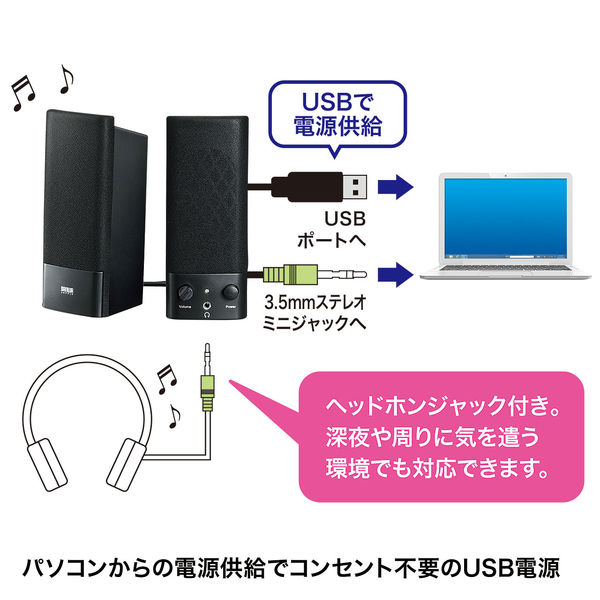 SANWA SUPPLY MM-SPL2NU2 - アンプ