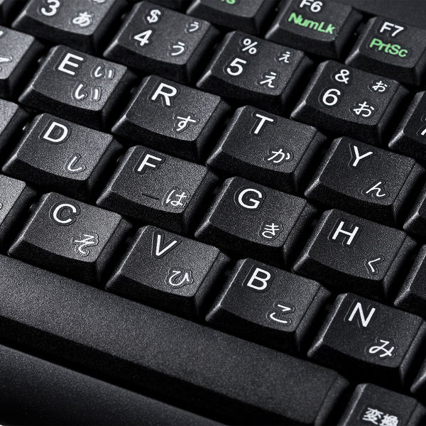 サンワサプライ USBスリムキーボード SKB-SL28BK 1個 - アスクル