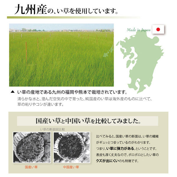 イケヒコ 国産 い草 上敷き カーペット 双目織 『草津』 江戸間 イケヒコ 国産 い草 上敷き カーペット 双目織 『草津』 江戸間