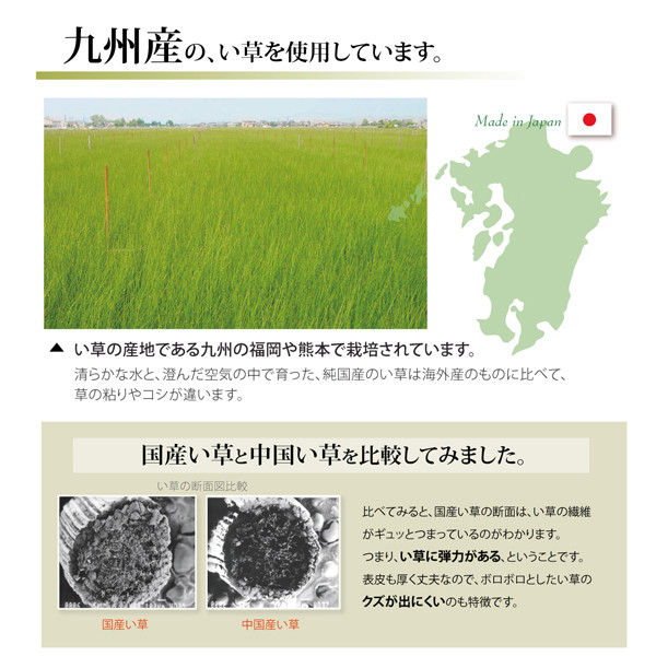 イケヒコ 純国産 い草 上敷き カーペット 糸引織 『湯沢』 六一間6畳