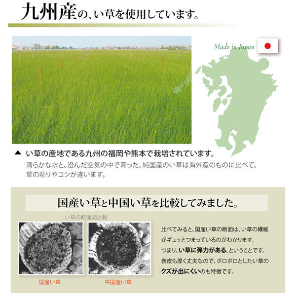 イケヒコ 国産 い草 上敷き カーペット 双目織 『松』 団地間4.5 イケヒコ 国産 い草 上敷き カーペット 双目織 『松』 団地間4.5