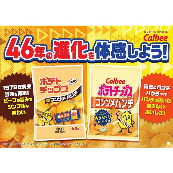 ポテトチップス おつまみ ポテトチップス 初代コンソメパンチ