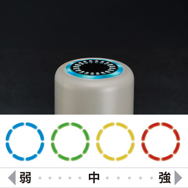 ドリームファクトリー エクサガンLUXE サンセットコーラル REG