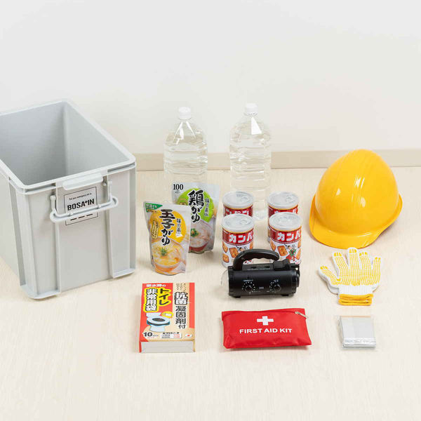 天馬 収納ボックス 積み重ねボックス 44 BOSA+IN 幅30×奥行44×高さ32cm