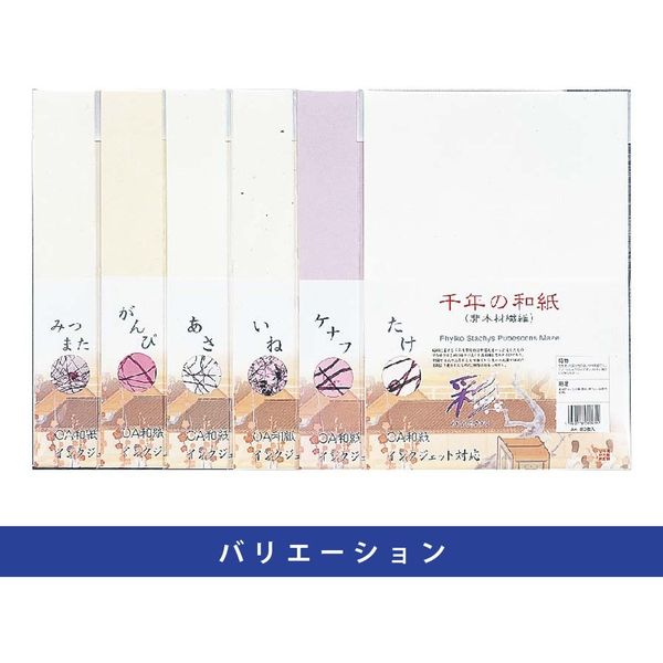 ゴークラ 千年の和紙「彩」 インクジェット対応 A4 20枚 たけ SWI-6 １