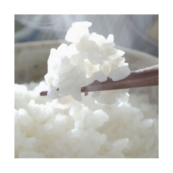 お米2kg 5kg 10kg 令和2年魚沼産コシヒカリ 白米 玄米お米ご注文